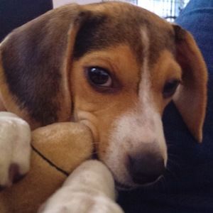 Meet your Posher, Shilpa